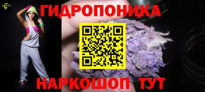 дмт Алексин